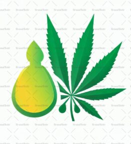 Cannabis Öl